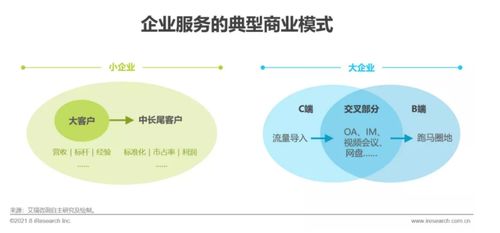 《2021年中國企業服務研究報告》發布 信息咨詢服務引領企業數字化轉型新篇章